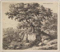 TvB G 3384
          <br/>
          De ezeldrijver
          <br/>
          <em>Waterloo, Anthonie, (1609-1690)</em>